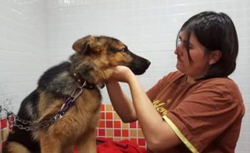 Clínica Veterinaria Almodovar