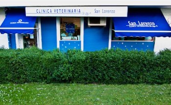 Clínica Veterinaria San Lorenzo