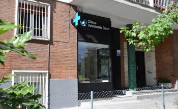 Clínica Veterinaria Bonn