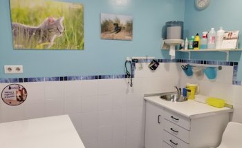 Clínica Veterinaria Sopelana