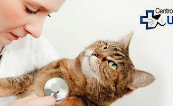 AniCura Uribe Kosta Clínica Veterinaria