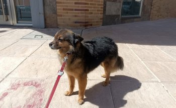 Clinica veterinaria VET & VET Tarancon