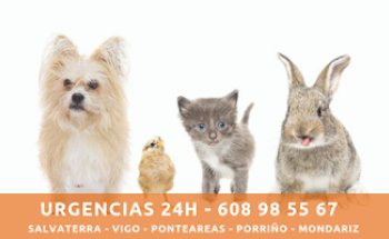 Clínica Veterinaria Tea Ponteareas