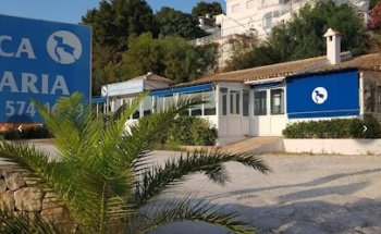 Clínica Veterinario Tabaira