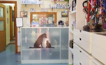 ESVET O Rosal | Clínica Veterinaria