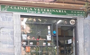 Clínica Virgen De Begoña