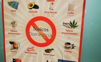 Centre Veterinari Montgrí