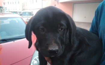 Centro Veterinario Gran Tarajal