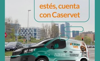 Veterinario a domicilio – Caservet