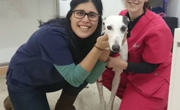 Clínica Veterinària Vallivet