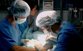 Clínica Veterinaria Valverde