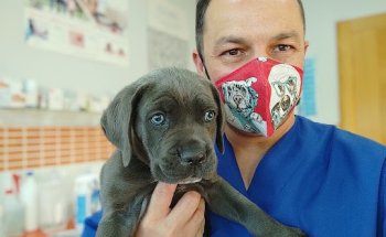 Clinica Veterinaria Argos