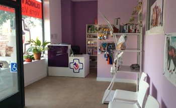 CLINICA VETERINARIA VALDEBEBAS - VERA VALDEBEBAS