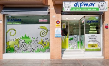 Clínica Veterinaria El Pinar