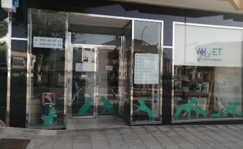 CLÍNICA VETERINARIA VÉLVET
