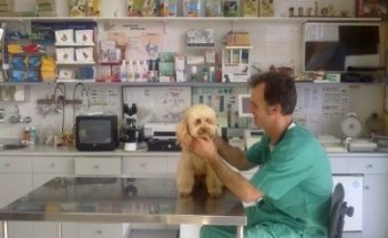 Clínica Veterinaria Garay