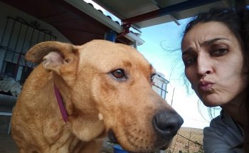 Clínica Veterinaria Marpe