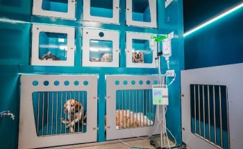 Clínica Servet Pedroches S L