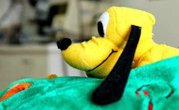 Centro Veterinario Valdezorras