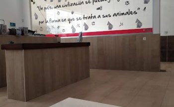 Pachuchos Centro Veterinario