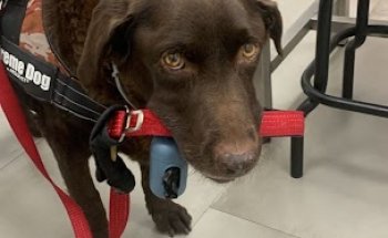 Clínica Veterinaria Navatejera