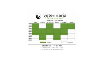 Consulta Veterinaria Princesa Ico. Axular Llantada Fdez