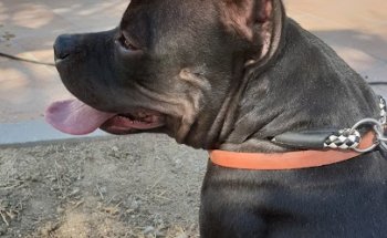 Centro Veterinario Yuncos