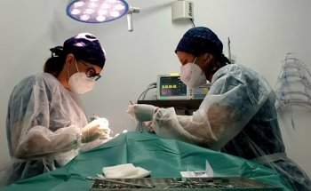 Vera Veterinaris Alella