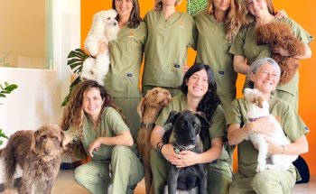 Bitxos Veterinaris