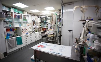 Clínica Veterinaria Eusebio Llorente Mena