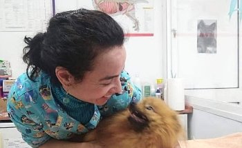 LaVida Vet. Consulta Veterinaria Especialista en Pequeños Animales y Exóticos