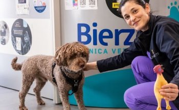 Clínica Veterinaria Bierzoo Bembibre
