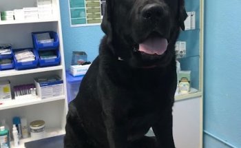 Centro Veterinario El Lebrel