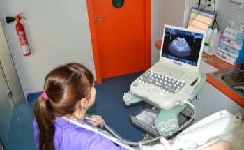 Clínica Veterinària Marcel