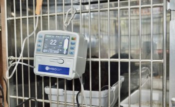 Veterinari St Cebrià de Vallalta