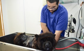 Veterinari St Cebrià de Vallalta