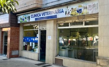 Centro Veterinario Villa de Gijón, S.L.