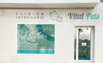 Vital Pets Clínica Veterinaria