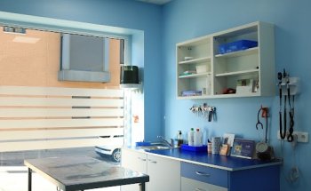 Centro Clínico Veterinario Soraya Sebastián