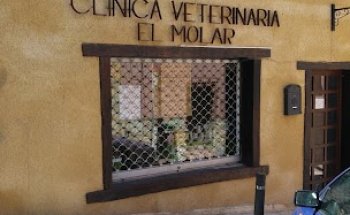 Clinica Veterinaria El Molar