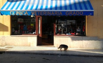 Clínica Veterinaria Grado