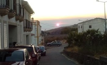 Rodolfo Torres Servicios Veterinarios