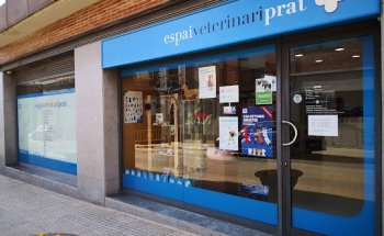 Clínica Veterinaria J.Prat Morera S.L.