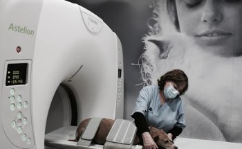 AniCura Vetamic Clínica Veterinària