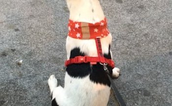 CENTRO VETERINARIO CANTABRIA