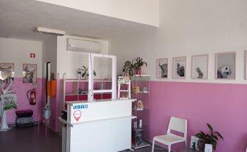 Alenvet - Consultório Veterinário de Mora