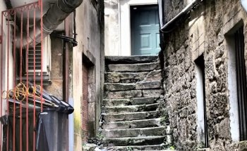 CLINICA VETERINARIA ANIMALIÑOS