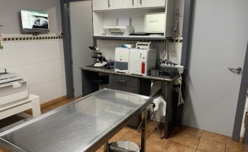 Clínica Veterinaria San Antonio