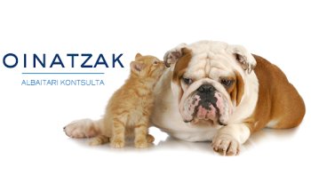 Oinatzak Albaitari Kontsulta