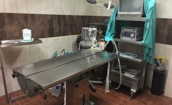 Clínica Veterinaria Oropesa